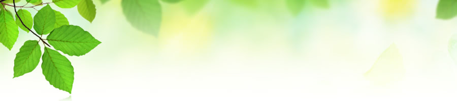 会社概要 | 日本ガスエンジニアリング株式会社